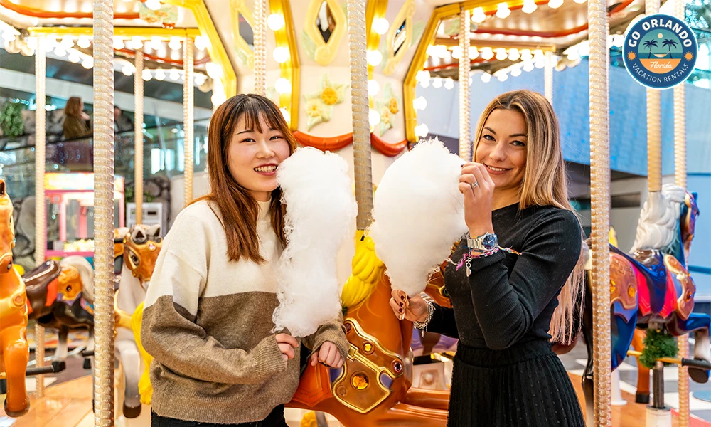 Proximity to Theme Parks & Shopping