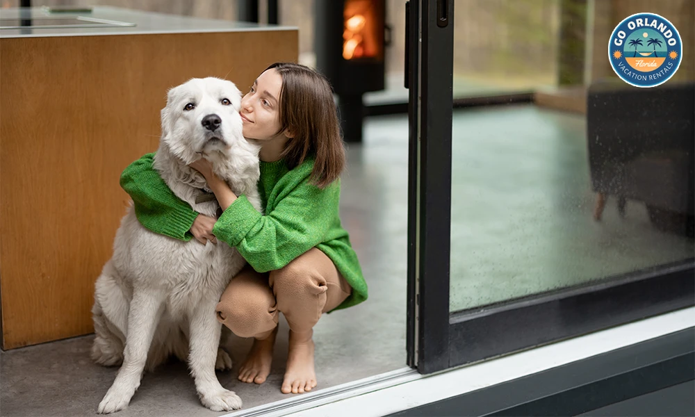 How to Find Cheap Pet Friendly Vacation Rentals